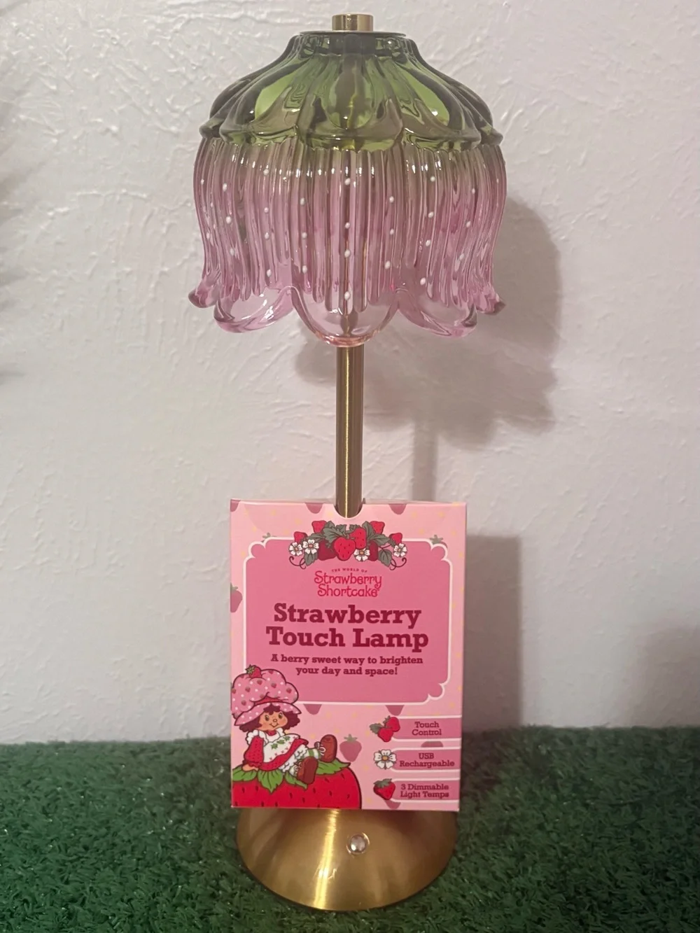 Strawberry Shortcake  Touch Lamp USB Rechargeable 3 Dimmable Settings
